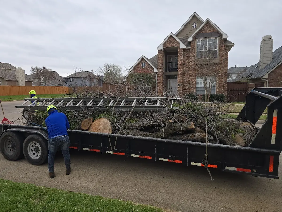 Expert Lot Clearing with proper safety equipment in Longstreet